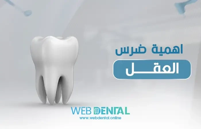اهمية ضرس العقل image